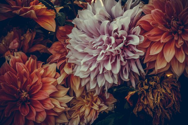 Top 5 raisons de faire appel à un couvreur à draguignan